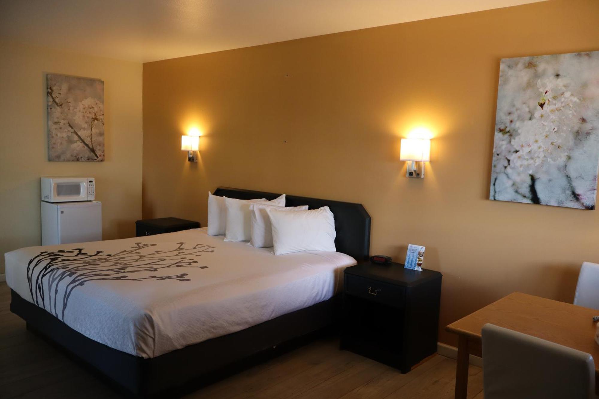 Black Canyon Motel Montrose Εξωτερικό φωτογραφία