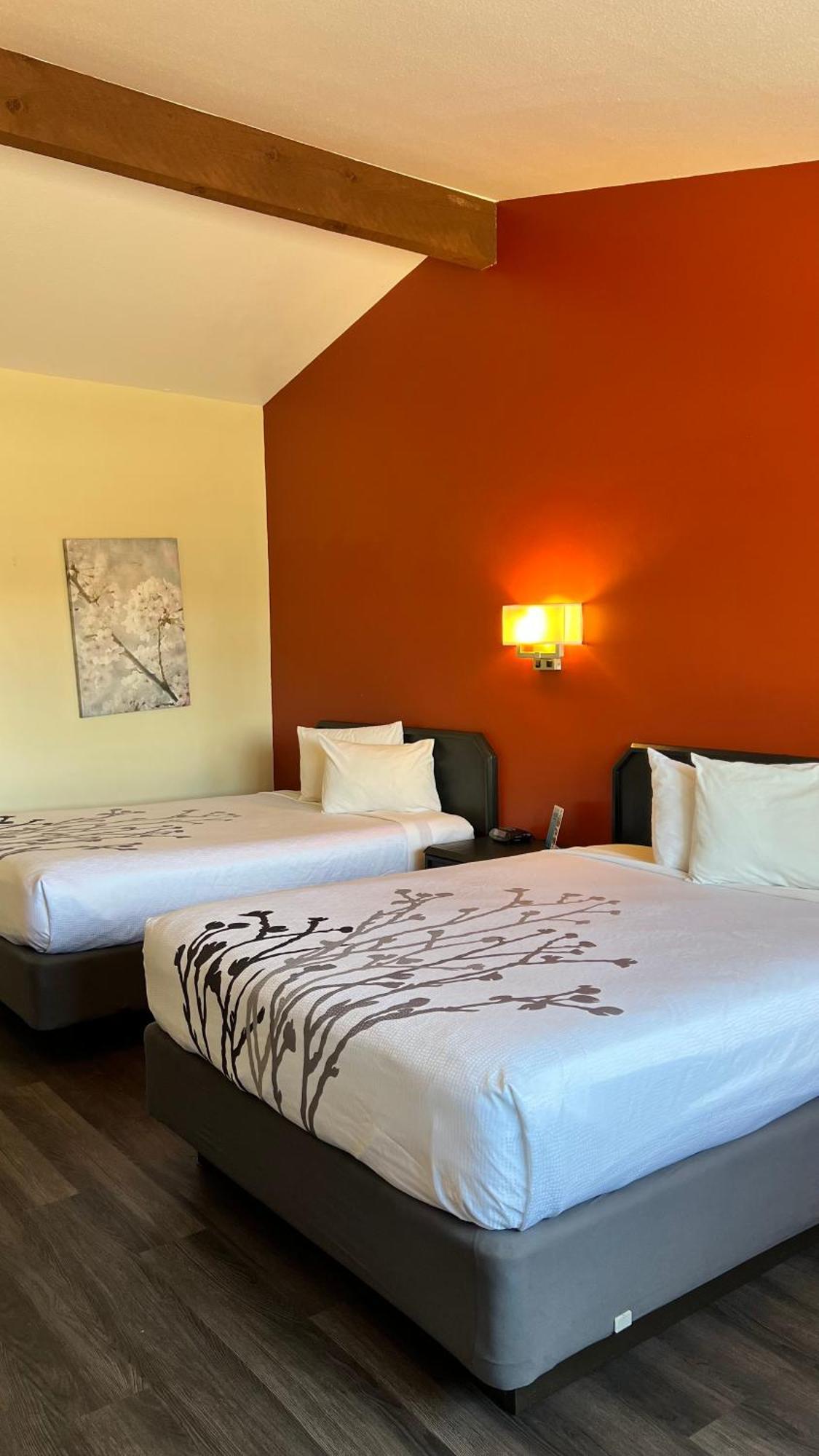 Black Canyon Motel Montrose Εξωτερικό φωτογραφία